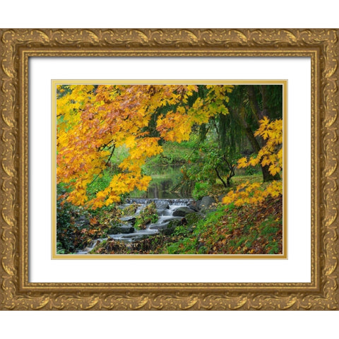 WA-Redmond-Stream and Autumn color Gold Ornate Wood Framed Art Print with Double Matting by Wild, Jamie and Judy