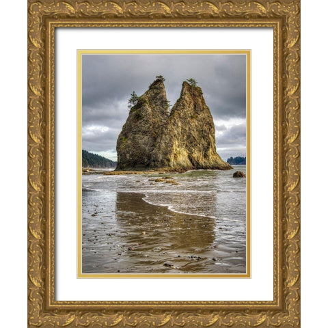 WA-Olympic National Park-Rialto Beach-Seastack and stormy sky Gold Ornate Wood Framed Art Print with Double Matting by Wild, Jamie and Judy