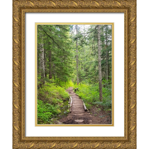 Washington State-Central Cascades-Trail to Pratt Ridge Gold Ornate Wood Framed Art Print with Double Matting by Wild, Jamie and Judy