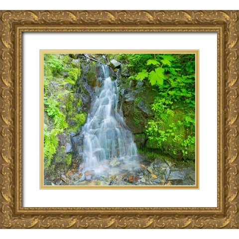 Washington State-Central Cascades-Waterfall-on trail to Annette Lake Gold Ornate Wood Framed Art Print with Double Matting by Wild, Jamie and Judy