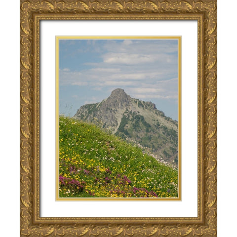 Washington State-Central Cascades-Rampart Ridge-Alta Mountain and wildflowers Gold Ornate Wood Framed Art Print with Double Matting by Wild, Jamie and Judy