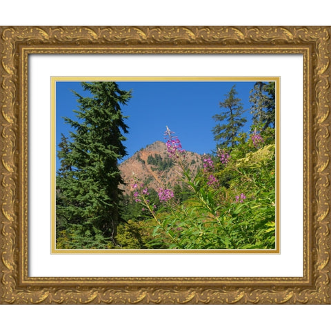 Washington State-Central Cascades-Fireweed and Red Mountain Gold Ornate Wood Framed Art Print with Double Matting by Wild, Jamie and Judy