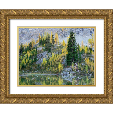 Washington State-North Cascades-Alpine Pond with Larch and Fir trees Gold Ornate Wood Framed Art Print with Double Matting by Wild, Jamie and Judy