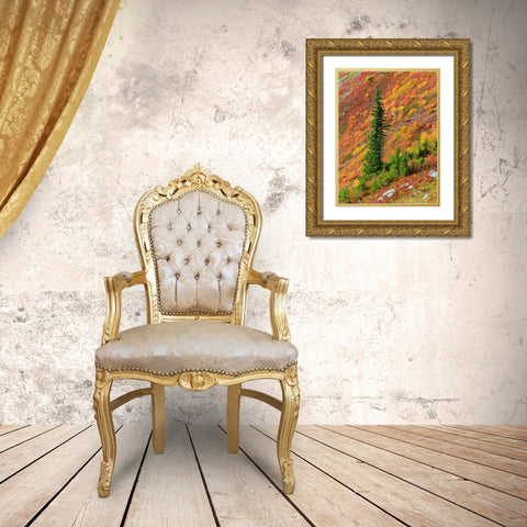 Washington State-North Cascades-Alpine Fir tree and fall color Gold Ornate Wood Framed Art Print with Double Matting by Wild, Jamie and Judy