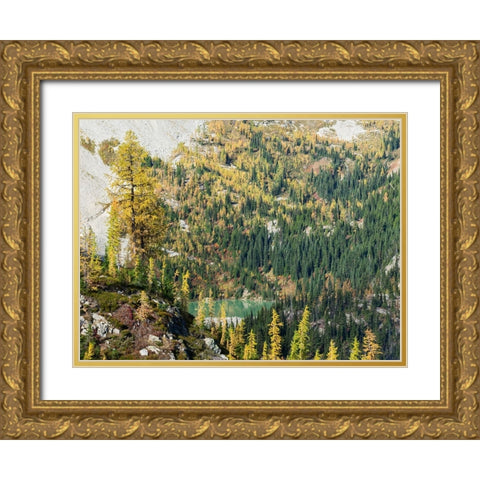 Washington State-North Cascades-Lewis Lake-view from Heather Pass Gold Ornate Wood Framed Art Print with Double Matting by Wild, Jamie and Judy