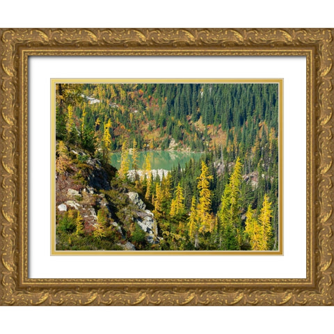Washington State-North Cascades-Lewis Lake-view from Heather Pass Gold Ornate Wood Framed Art Print with Double Matting by Wild, Jamie and Judy