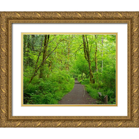 Washington State-Tiger Mountain trail Gold Ornate Wood Framed Art Print with Double Matting by Wild, Jamie and Judy
