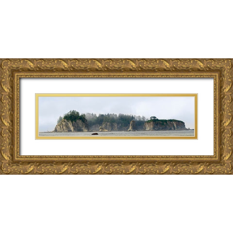 Washington State-Olympic National Park-Rialto Beach James Island Gold Ornate Wood Framed Art Print with Double Matting by Wild, Jamie and Judy