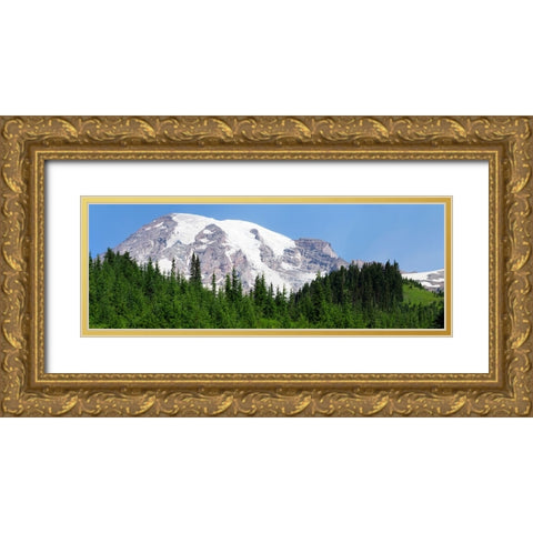 Washington State-Mount Rainier National Park View from Skyline Trail Gold Ornate Wood Framed Art Print with Double Matting by Wild, Jamie and Judy