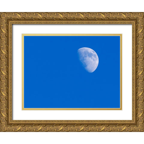 Washington State- first Quarter Moon Gold Ornate Wood Framed Art Print with Double Matting by Wild, Jamie and Judy