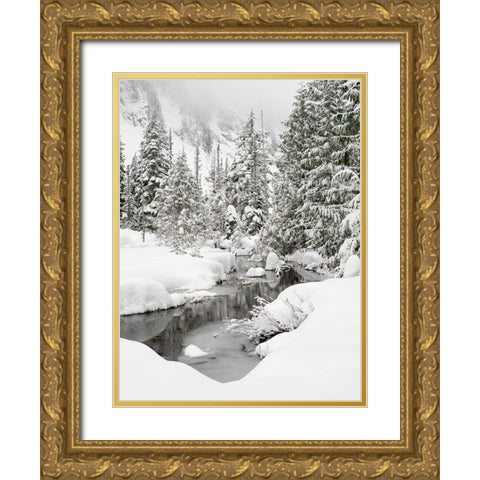 Washington State- Central Cascades. Granite Creek winter scene Gold Ornate Wood Framed Art Print with Double Matting by Wild, Jamie and Judy