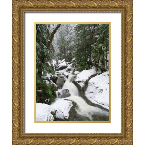 Washington State- Central Cascades. Martin Creek Gold Ornate Wood Framed Art Print with Double Matting by Wild, Jamie and Judy
