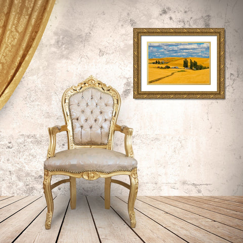 Clouds above farm house on wheat field-Palouse-eastern Washington State-USA Gold Ornate Wood Framed Art Print with Double Matting by Su, Keren