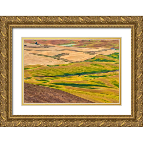 Landscape of rolling wheat field-Palouse-Washington State-USA Gold Ornate Wood Framed Art Print with Double Matting by Su, Keren
