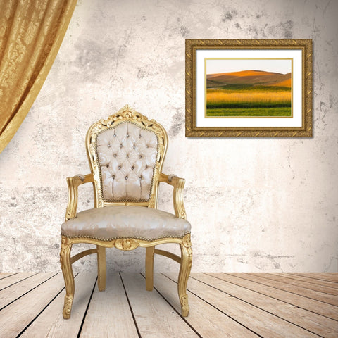 Sunset view of wheat field-Palouse-Washington State-USA Gold Ornate Wood Framed Art Print with Double Matting by Su, Keren