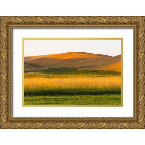 Sunset view of wheat field-Palouse-Washington State-USA Gold Ornate Wood Framed Art Print with Double Matting by Su, Keren