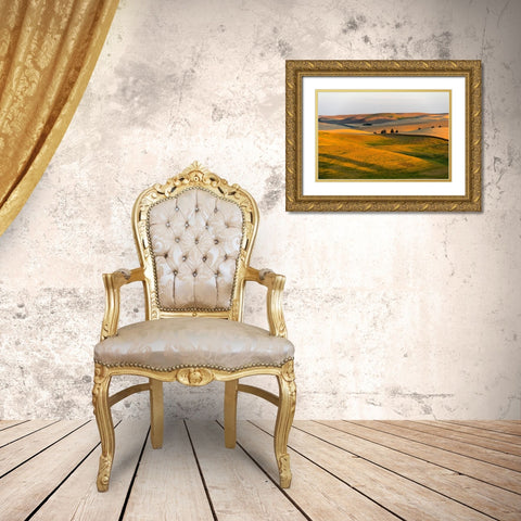 Landscape of rolling wheat field at sunrise-Palouse-Washington State-USA Gold Ornate Wood Framed Art Print with Double Matting by Su, Keren