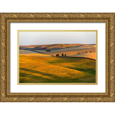 Landscape of rolling wheat field at sunrise-Palouse-Washington State-USA Gold Ornate Wood Framed Art Print with Double Matting by Su, Keren