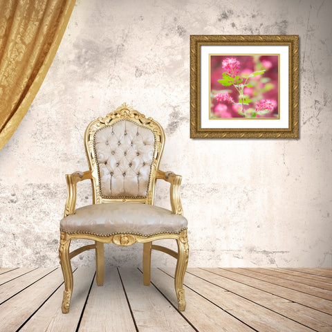 Washington State-Sammamish-spring flowering Currant Gold Ornate Wood Framed Art Print with Double Matting by Gulin, Sylvia