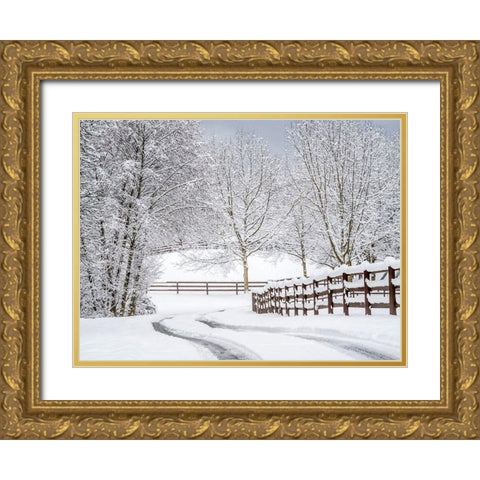Washington State-Fall City-fresh snow on trees and fence and snow covered road Gold Ornate Wood Framed Art Print with Double Matting by Gulin, Sylvia