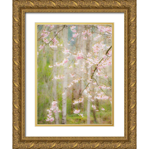 Washington State-Fall City springtime and cherry trees just beginning to bloom Gold Ornate Wood Framed Art Print with Double Matting by Gulin, Sylvia