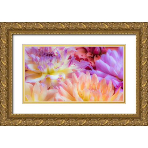 Washington State-Sammamish Dahlia flower design and patterns Gold Ornate Wood Framed Art Print with Double Matting by Gulin, Sylvia