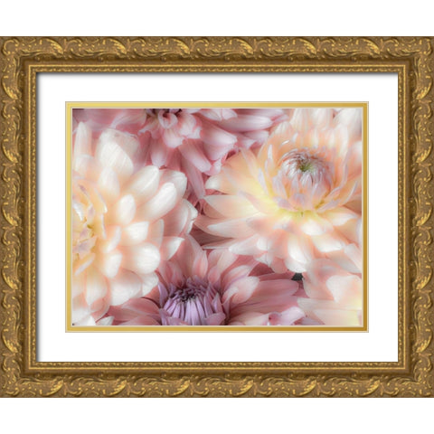 Washington State-Sammamish Dahlia flower design and patterns Gold Ornate Wood Framed Art Print with Double Matting by Gulin, Sylvia