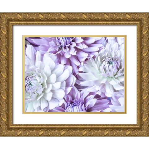 Washington State-Sammamish Dahlia flower design and patterns Gold Ornate Wood Framed Art Print with Double Matting by Gulin, Sylvia