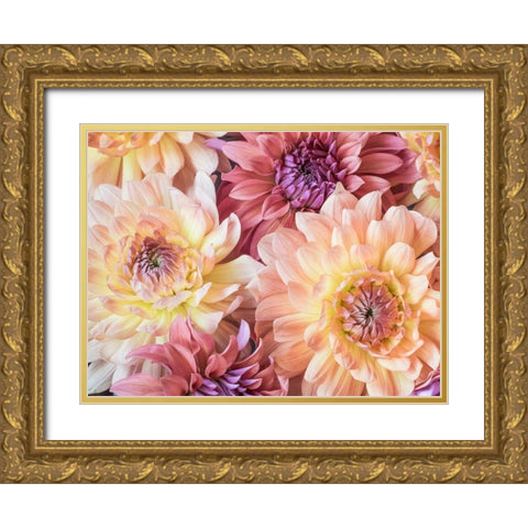 Washington State-Sammamish Dahlia flower design and patterns Gold Ornate Wood Framed Art Print with Double Matting by Gulin, Sylvia