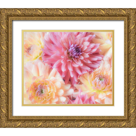 Washington State-Sammamish Dahlia flower design and patterns Gold Ornate Wood Framed Art Print with Double Matting by Gulin, Sylvia