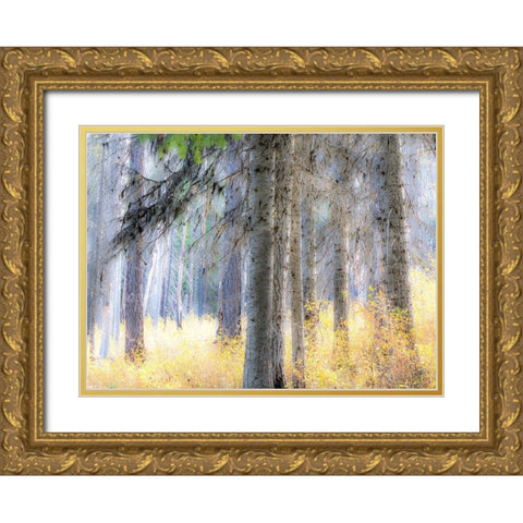 Washington State-Blewett Pass in autumn and Larch trees in fire damaged area Gold Ornate Wood Framed Art Print with Double Matting by Gulin, Sylvia