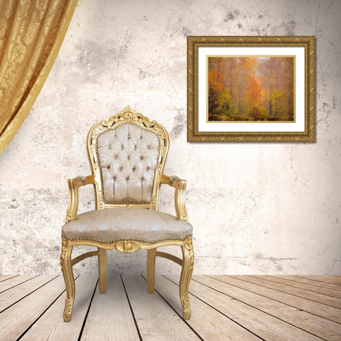 Washington State-Fall City and fall colors in yellows and golds Gold Ornate Wood Framed Art Print with Double Matting by Gulin, Sylvia