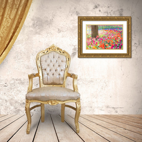 Washington State-Skagit-Western Washington springtime blooming tulips-grape hyacinth Gold Ornate Wood Framed Art Print with Double Matting by Gulin, Sylvia