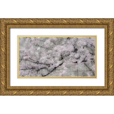 USA-Washington State-Fall City-Springtime cherry trees blooming along Snoqualmie River Gold Ornate Wood Framed Art Print with Double Matting by Gulin, Sylvia