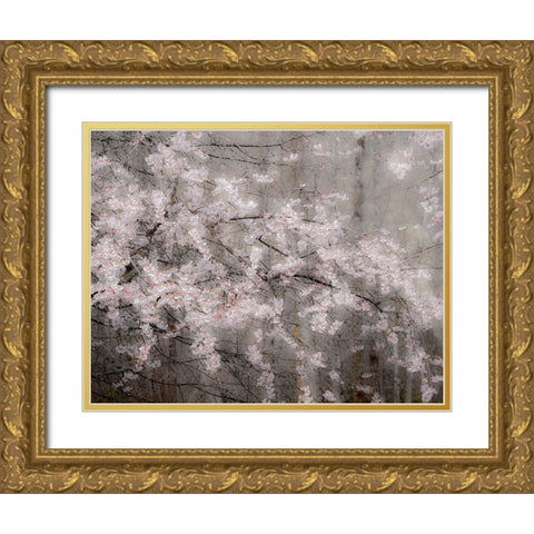 USA-Washington State-Fall City-Springtime cherry trees blooming along Snoqualmie River Gold Ornate Wood Framed Art Print with Double Matting by Gulin, Sylvia