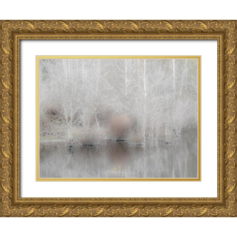 USA-Washington State-Sammamish springtime and alder trees and their reflections in small pond Gold Ornate Wood Framed Art Print with Double Matting by Gulin, Sylvia