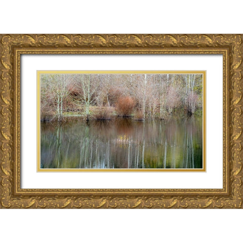 USA-Washington State-Sammamish springtime and alder trees and their reflections in small pond Gold Ornate Wood Framed Art Print with Double Matting by Gulin, Sylvia