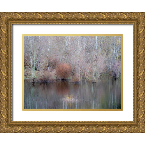 USA-Washington State-Sammamish springtime and alder trees and their reflections in small pond Gold Ornate Wood Framed Art Print with Double Matting by Gulin, Sylvia