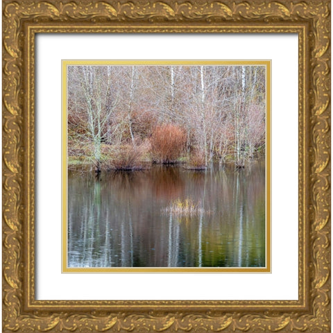USA-Washington State-Sammamish springtime and alder trees and their reflections in small pond Gold Ornate Wood Framed Art Print with Double Matting by Gulin, Sylvia