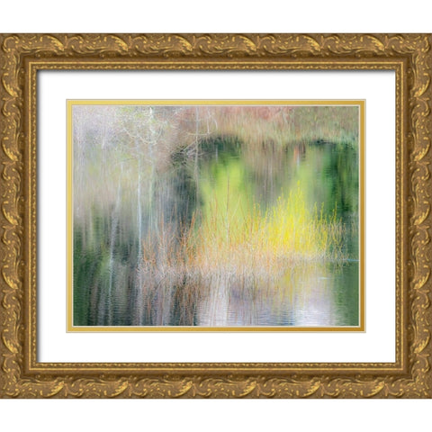 USA-Washington State-Sammamish springtime willow trees in early spring in small pond Gold Ornate Wood Framed Art Print with Double Matting by Gulin, Sylvia