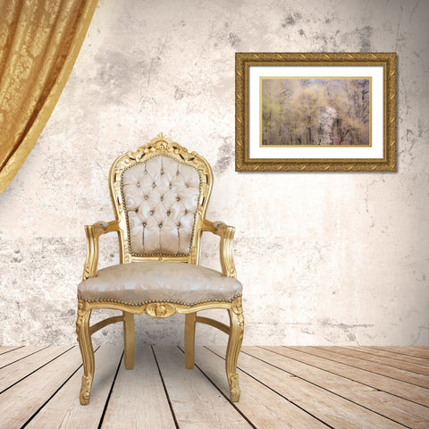 USA-Washington State-Carnation-springtime with flowering wild Cherry and Cottonwoods Gold Ornate Wood Framed Art Print with Double Matting by Gulin, Sylvia