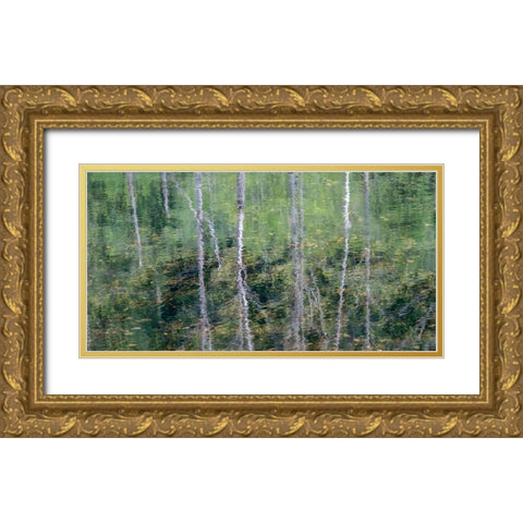 USA-Washington State-Old Cascade Highway off of Highway 2 and pond reflecting alder trees Gold Ornate Wood Framed Art Print with Double Matting by Gulin, Sylvia