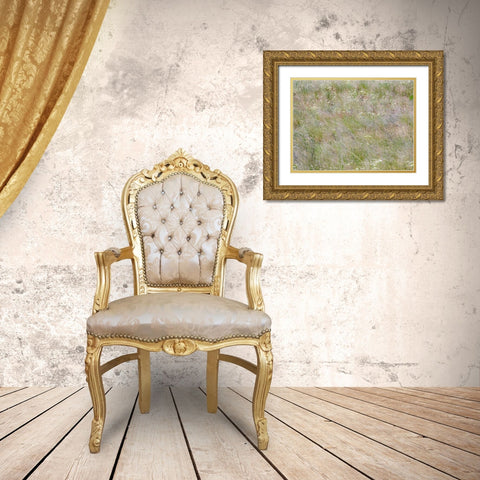 USA-Washington State-Benge Dried grass seed heads Gold Ornate Wood Framed Art Print with Double Matting by Gulin, Sylvia
