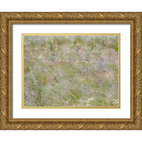 USA-Washington State-Benge Dried grass seed heads Gold Ornate Wood Framed Art Print with Double Matting by Gulin, Sylvia