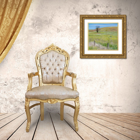 USA-Washington State-Eastern Washington-Benge With lone dead tree in field of grasses Gold Ornate Wood Framed Art Print with Double Matting by Gulin, Sylvia