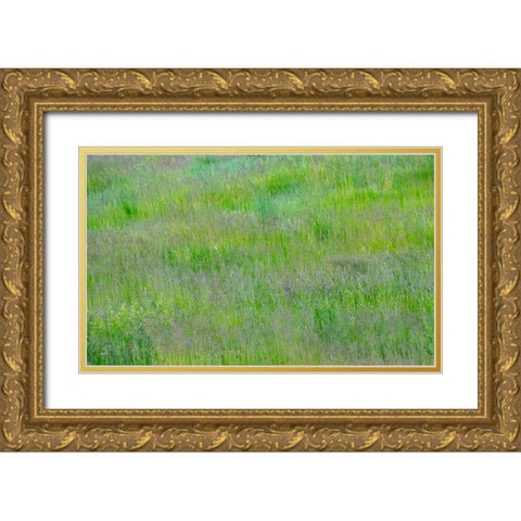 USA-Washington State-Palouse-Eastern Washington Green grass field Gold Ornate Wood Framed Art Print with Double Matting by Gulin, Sylvia