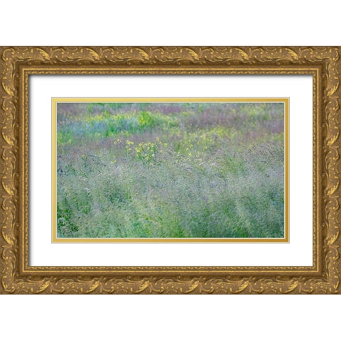 USA-Washington State-Palouse-Eastern Washington Green grass field Gold Ornate Wood Framed Art Print with Double Matting by Gulin, Sylvia
