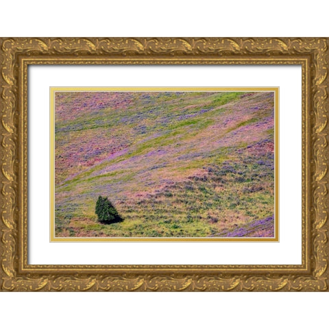 USA-Washington State-Palouse with hillside of vetch Gold Ornate Wood Framed Art Print with Double Matting by Gulin, Sylvia