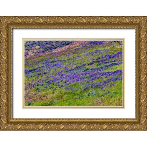 USA-Washington State-Palouse with hillside of vetch Gold Ornate Wood Framed Art Print with Double Matting by Gulin, Sylvia