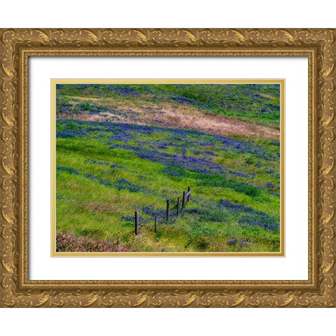 USA-Washington State-Palouse with hillside of vetch Gold Ornate Wood Framed Art Print with Double Matting by Gulin, Sylvia
